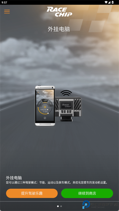 RaceChip