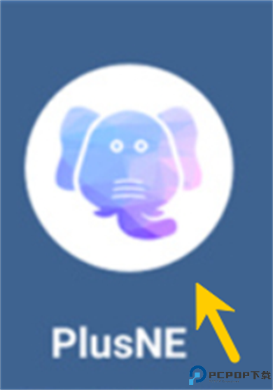plusne
