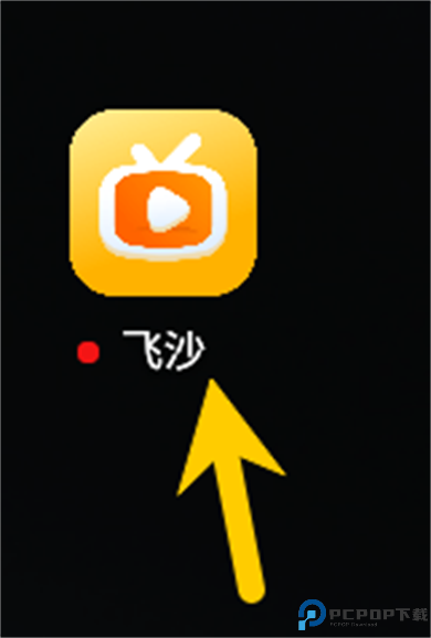 飞沙电视tv