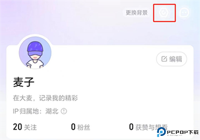 大麦抢票助手