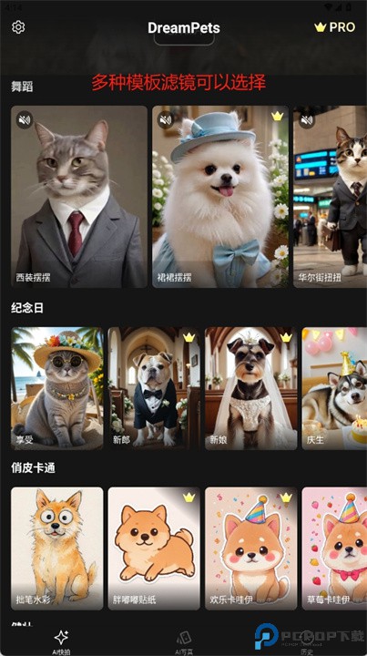 dreampets