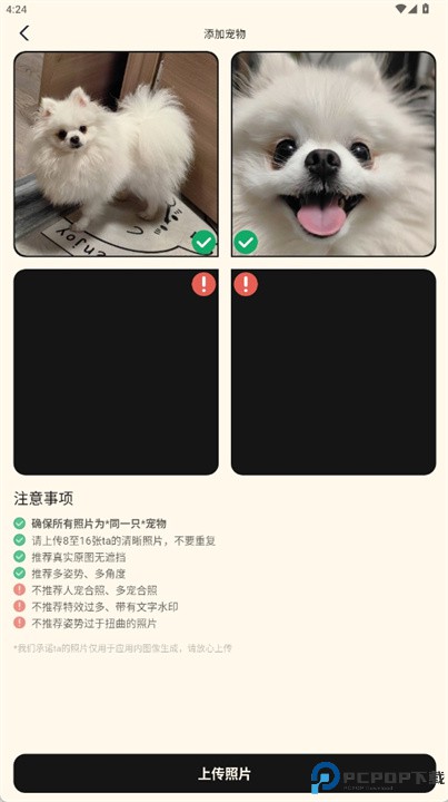 dreampets
