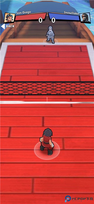 功夫排球