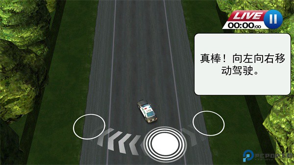 亡命威龙