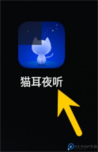 猫耳夜听app