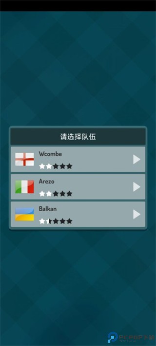 冠军足球明星