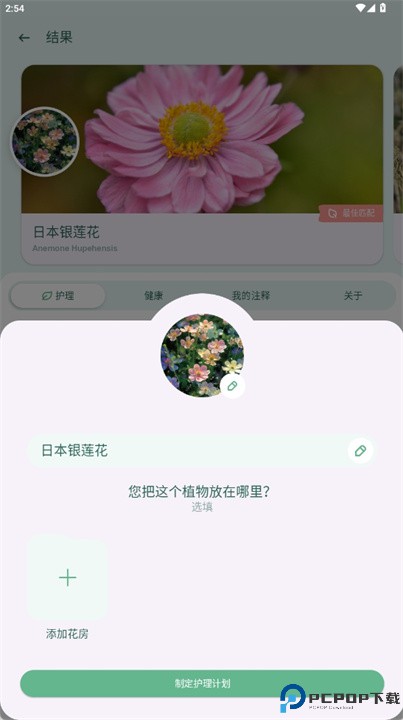 blossom植物