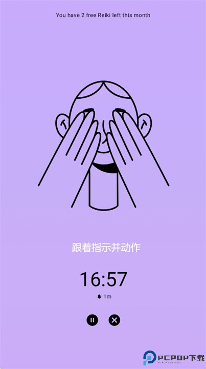 reikiall软件