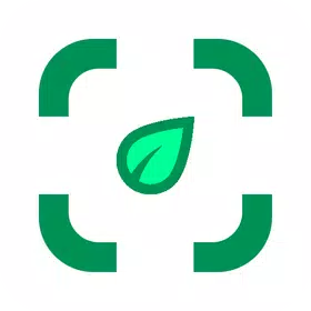 照片中的植物标识符