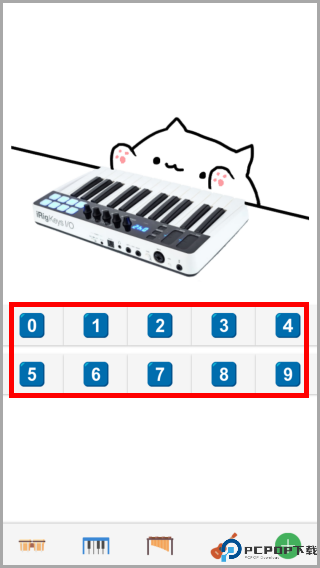 邦戈猫
