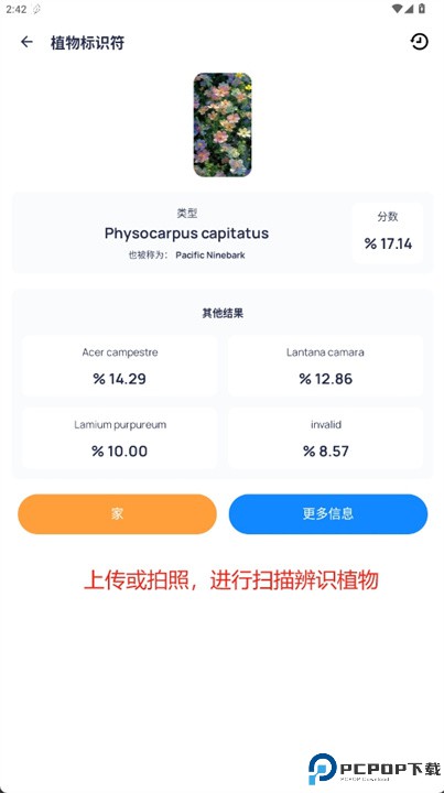花园精灵软件