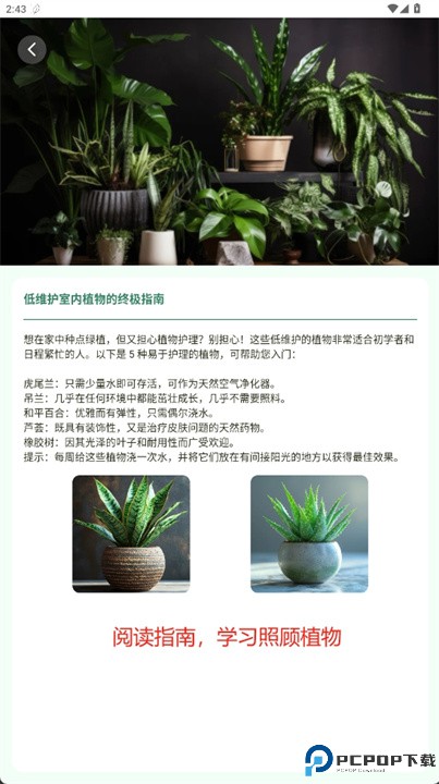 花园精灵软件
