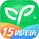 沪江网校