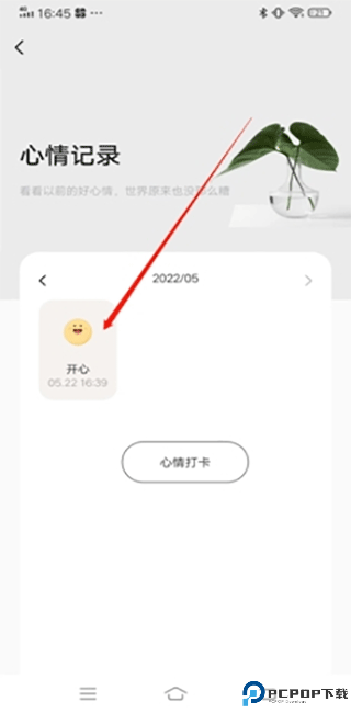 岁岁app