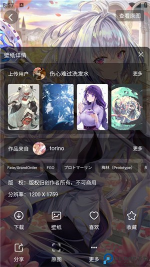 花火壁纸app