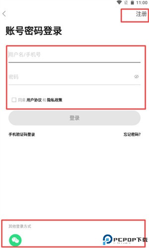 蒲公英