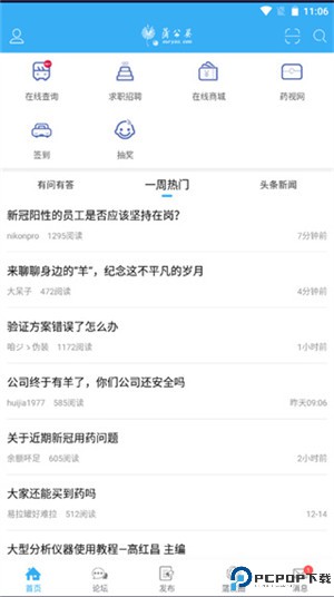 蒲公英