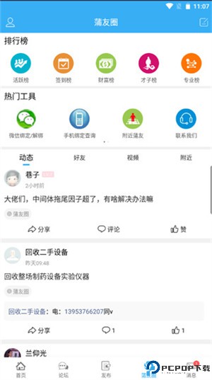 蒲公英