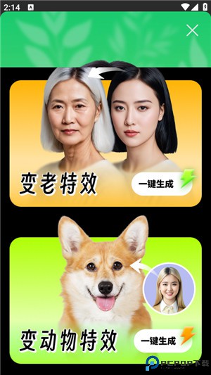 桔子相机