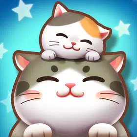 猫咪日记
