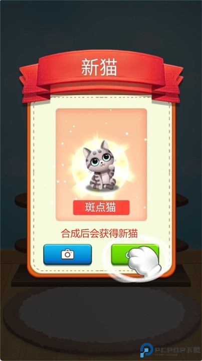 猫咪日记游戏