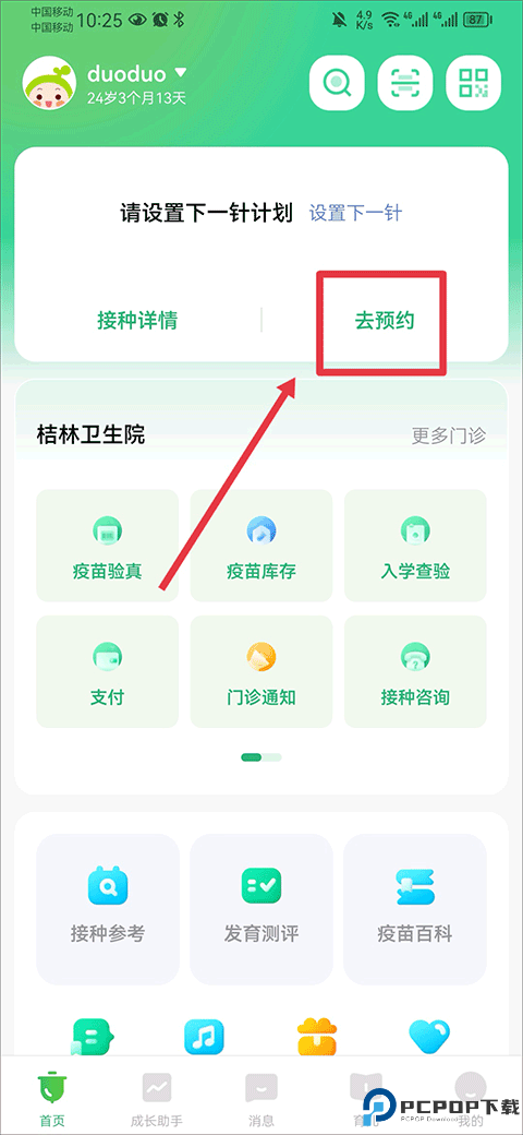 小豆苗