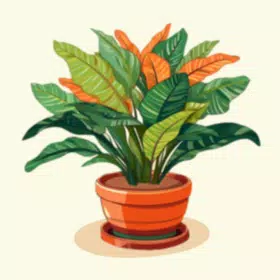 种植植物