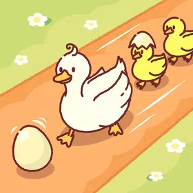 duck dash