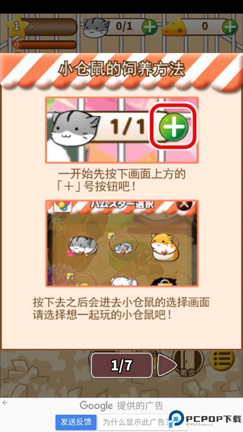 仓鼠的日常