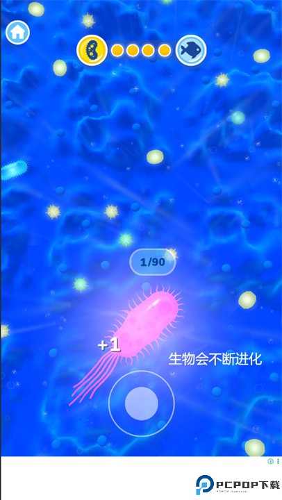 生物进化论游戏
