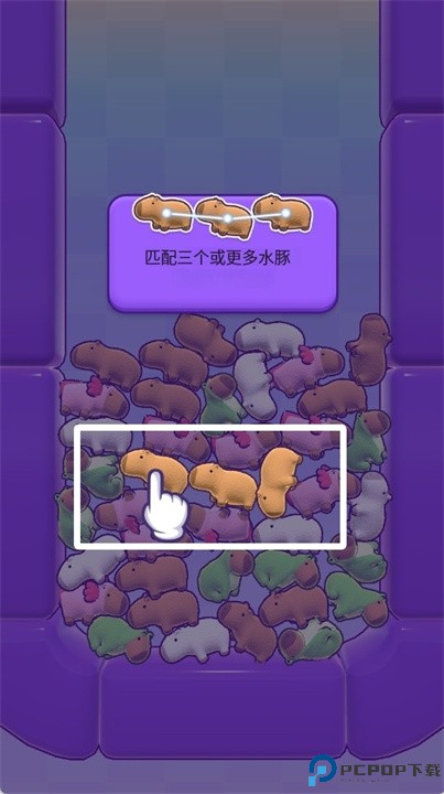 水豚之星手游