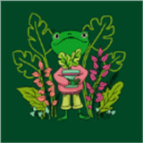 露露的家花园