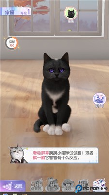 超喵星计划