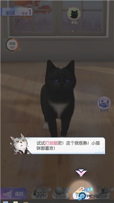 超喵星计划