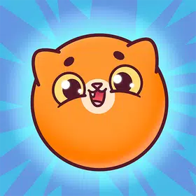西瓜猫