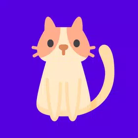 软萌猫咪