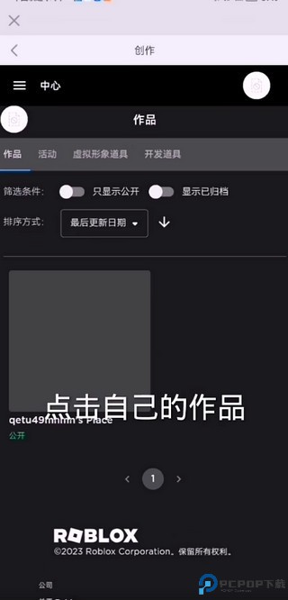 罗布乐思游戏