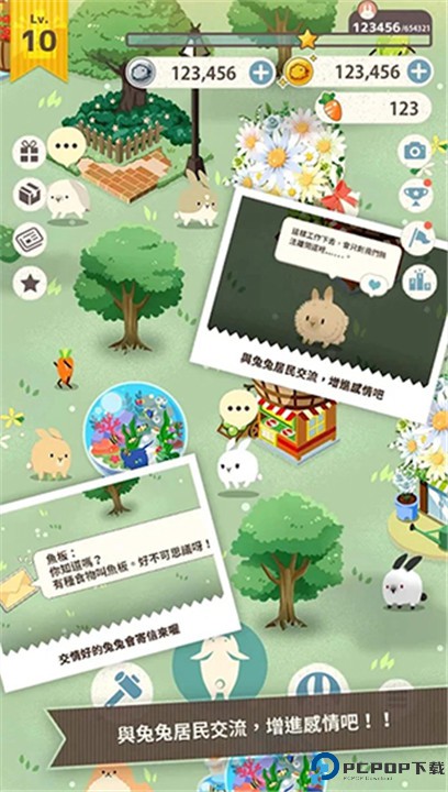 兔子真是太可爱了