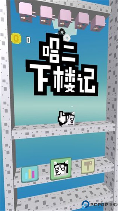 二哈下楼记