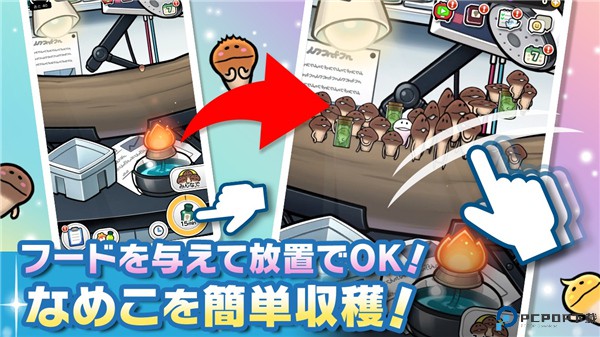 菇菇栽培研究室