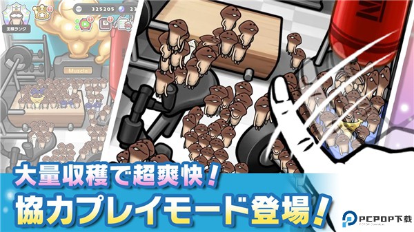 菇菇栽培研究室