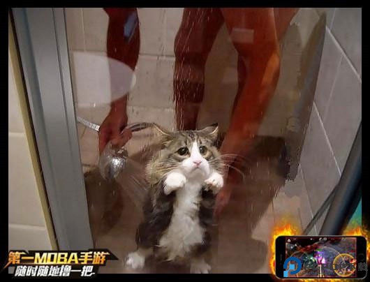 自由之战
