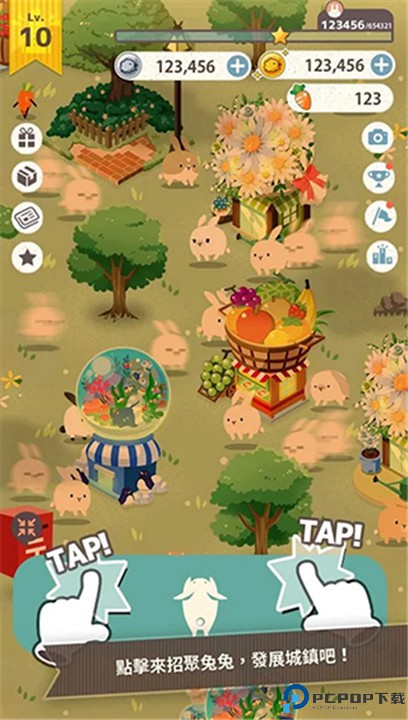 兔子真是太可爱了