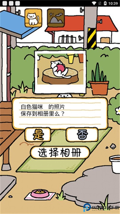 猫咪收集2