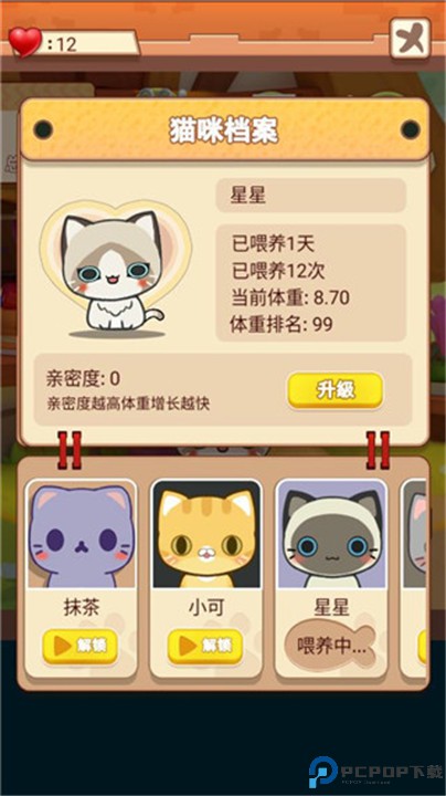 养只大肥猫