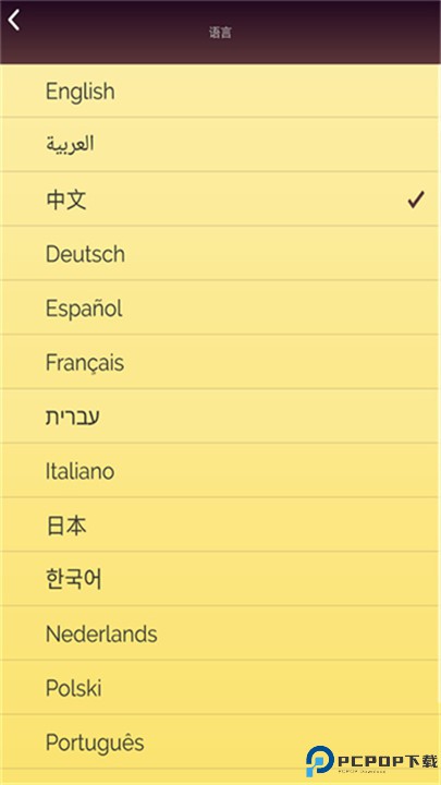 网络天才中文版