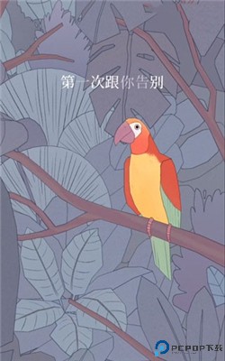 孤独的鸟儿中文版