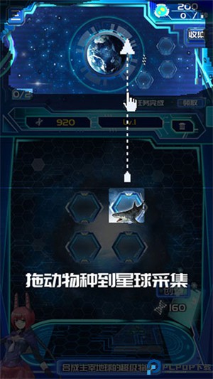 养鲲进化新物种