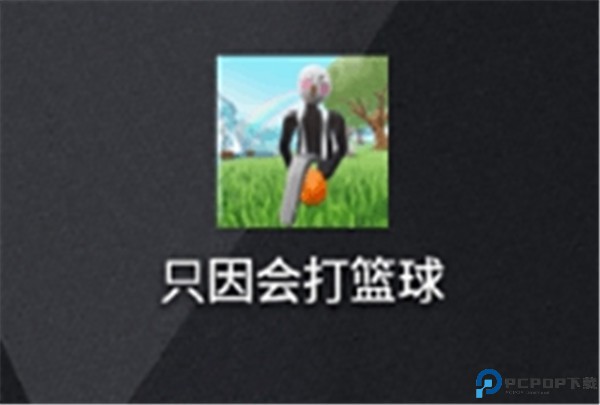 只因会打篮球
