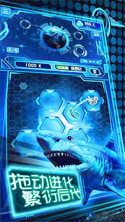 养鲲进化新物种